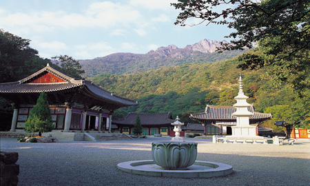 15내장사전경